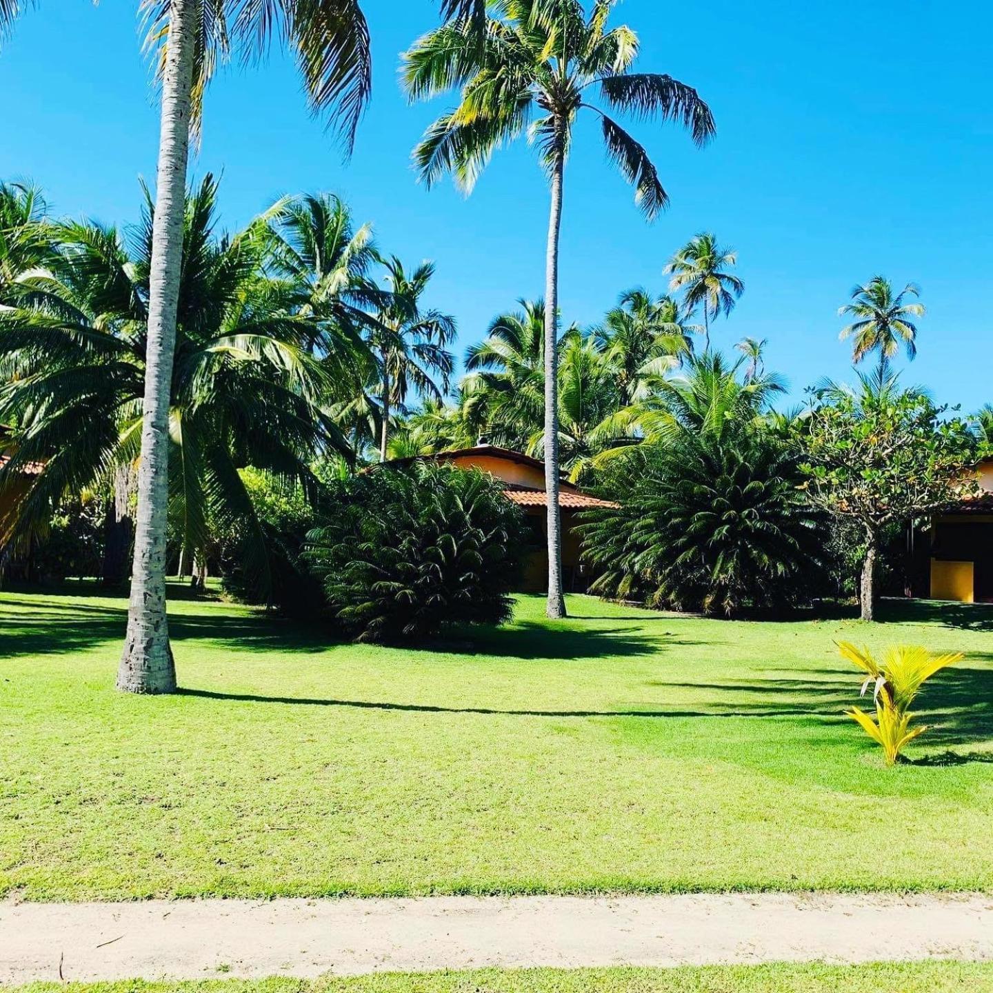 Pousada Cote Sud São Miguel dos Milagres Buitenkant foto